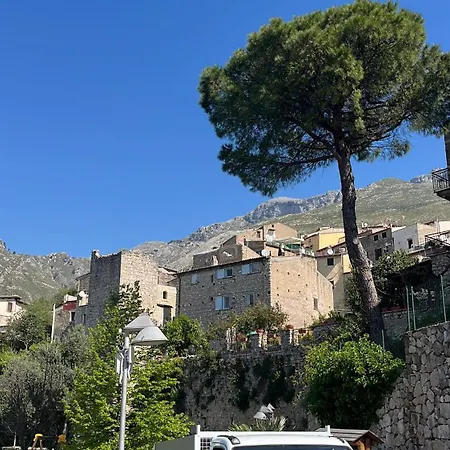 - Maison Des Poupees